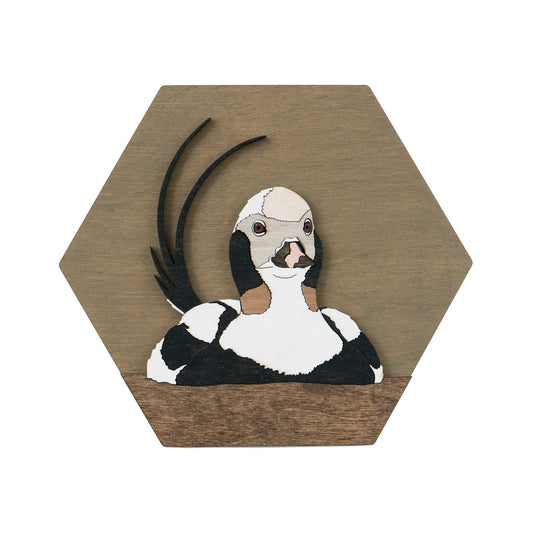 Long-tailed Duck Wall Art