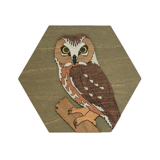 Northern Saw-whet Owl Wall Art