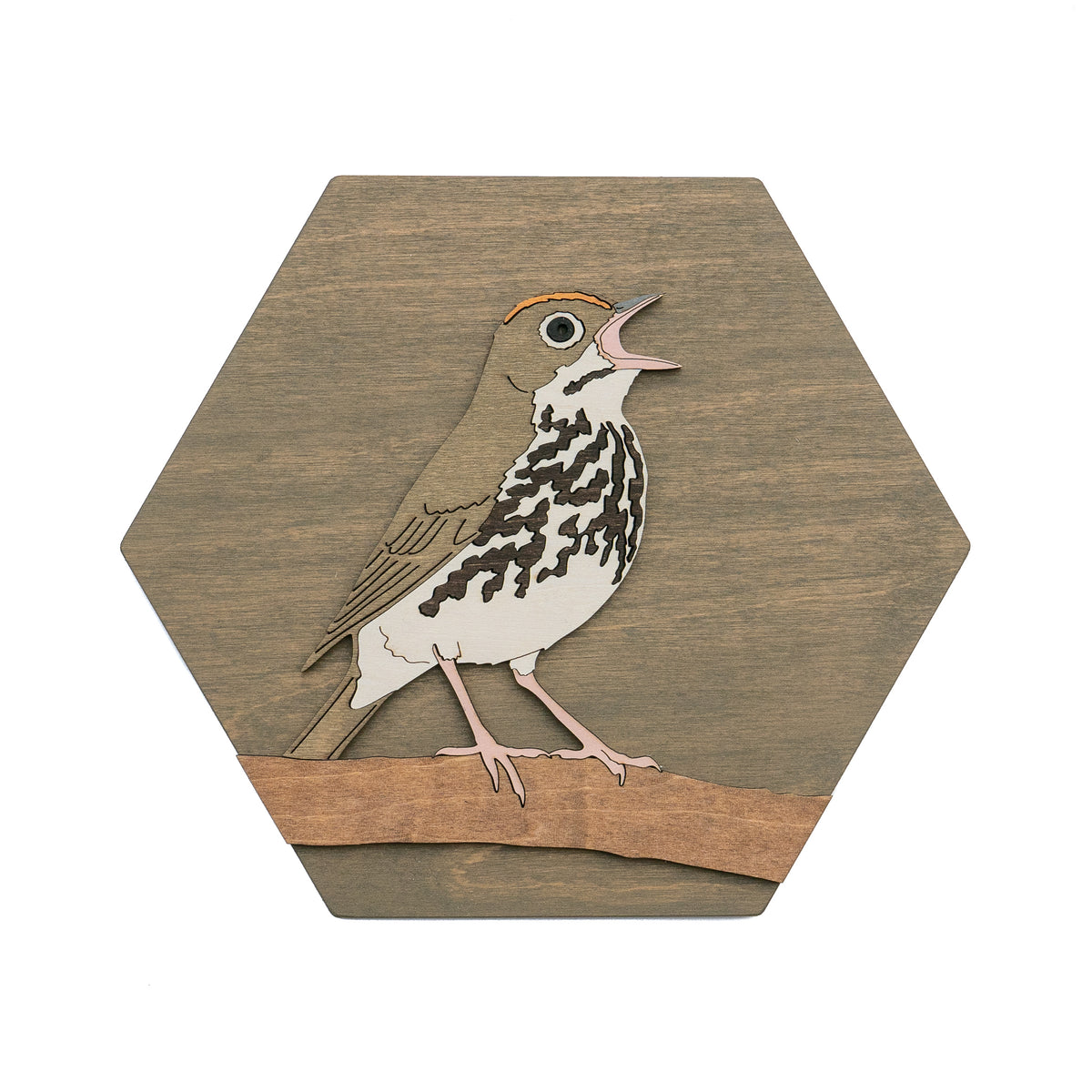 Ovenbird