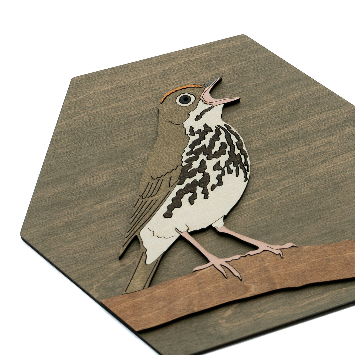 Ovenbird