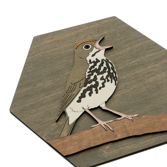 Ovenbird
