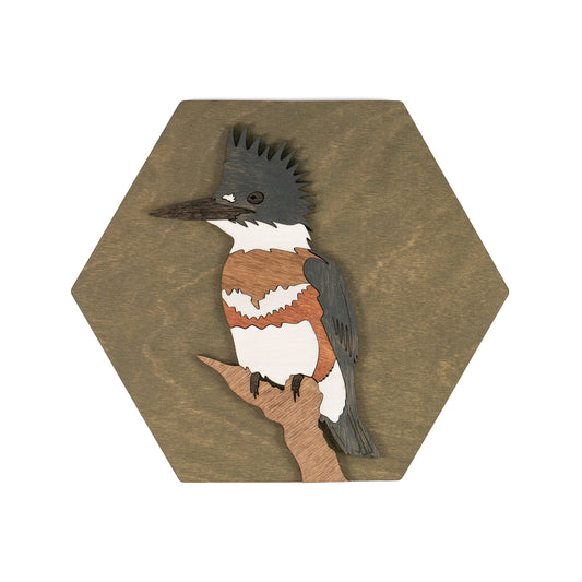 Belted Kingfisher Wall Art