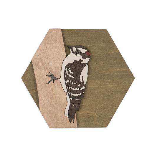 Downy Woodpecker Wall Art