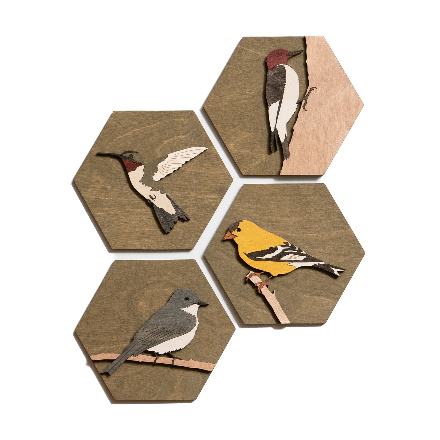 Eastern Phoebe Wall Art – Guelph Holzkünste