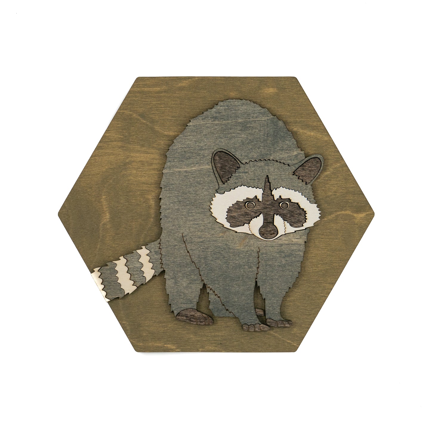 Raccoon Wall Art