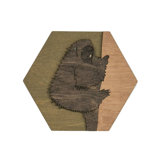 American Porcupine Wall Art