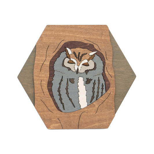 Eastern Screech-Owl