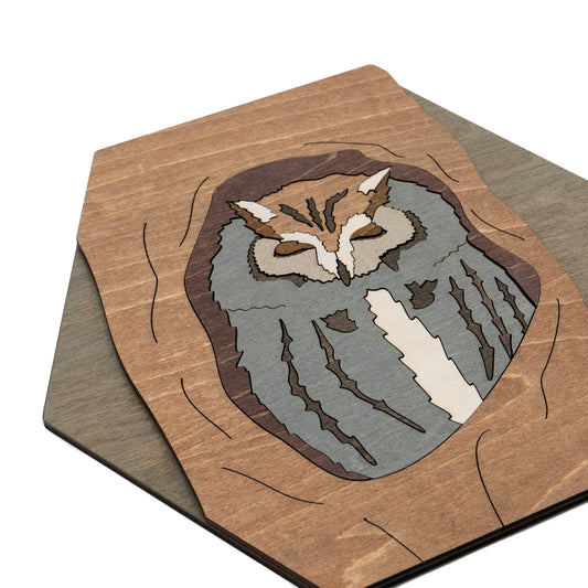 Eastern Screech-Owl