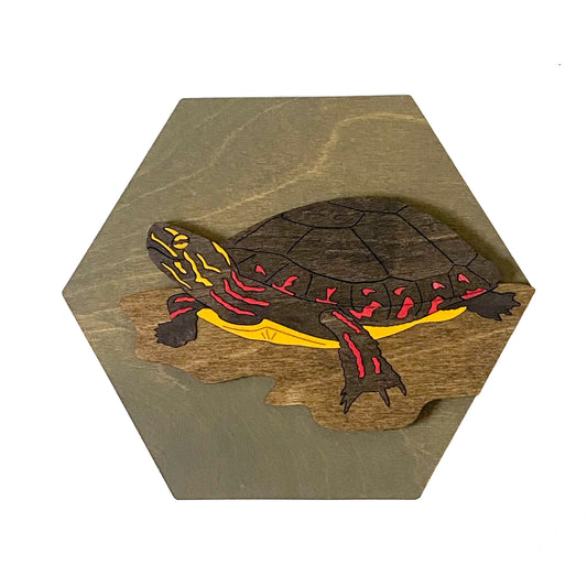 Midland Painted Turtle Wall Art