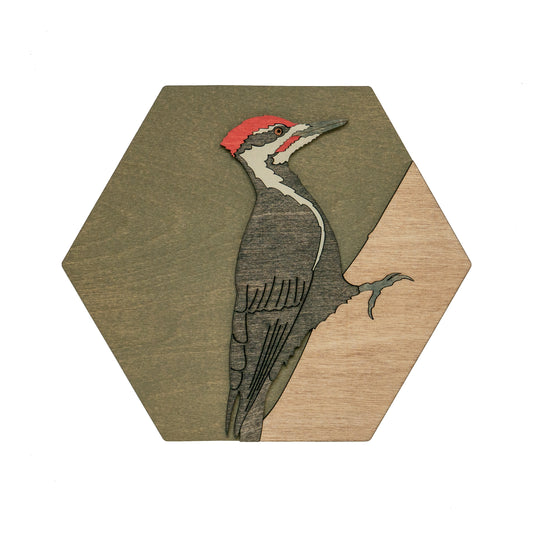 Pileated Woodpecker Wall Art