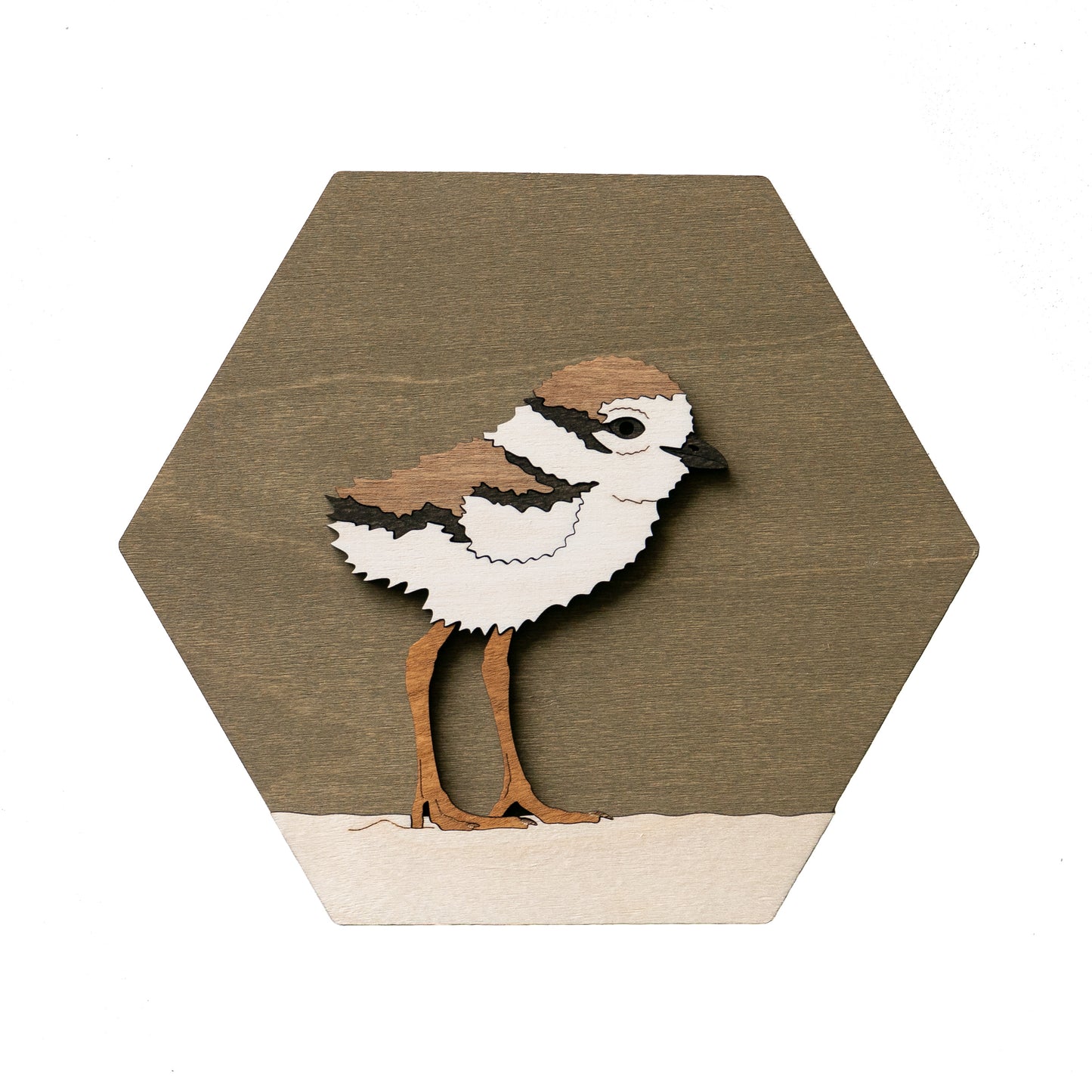 Piping Plover Wall Art