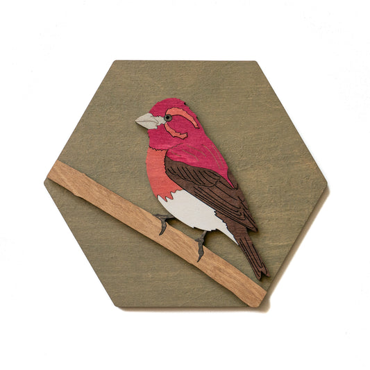 Purple Finch Wall Art