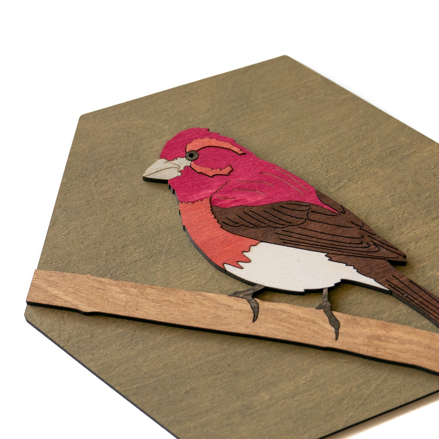 Purple Finch Wall Art