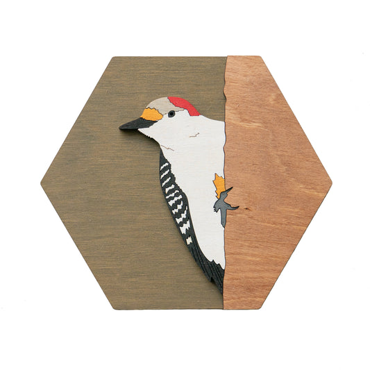 Red-bellied Woodpecker Wall Art