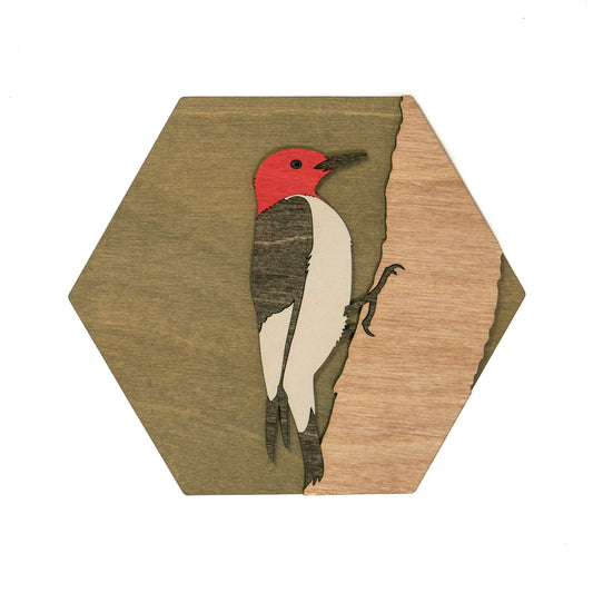 Red-headed Woodpecker Wall Art