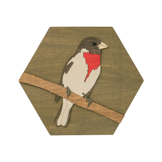 Rose-breasted Grosbeak Wall Art