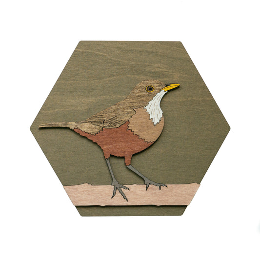 Rufous-bellied Thrush Wall Art