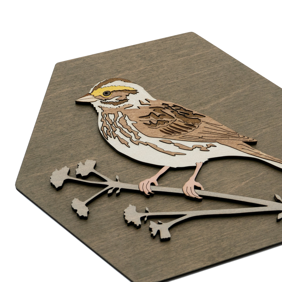 Savannah Sparrow