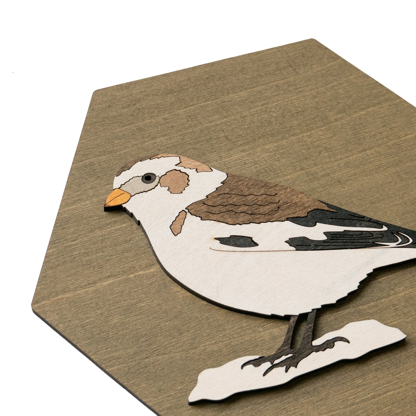 Snow Bunting Wall Art