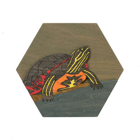 Western Painted Turtle Wall Art