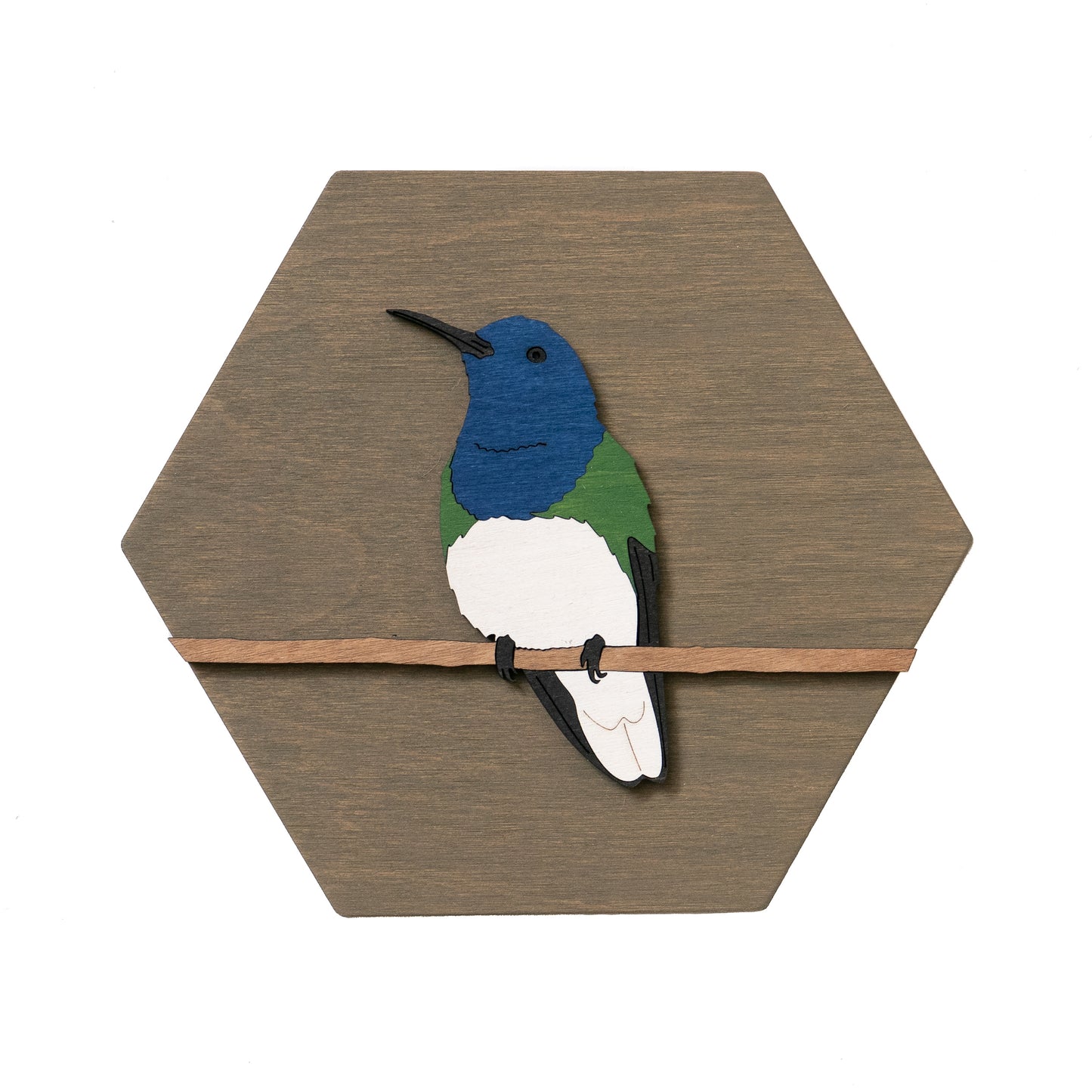 White-necked Jacobin Wall Art