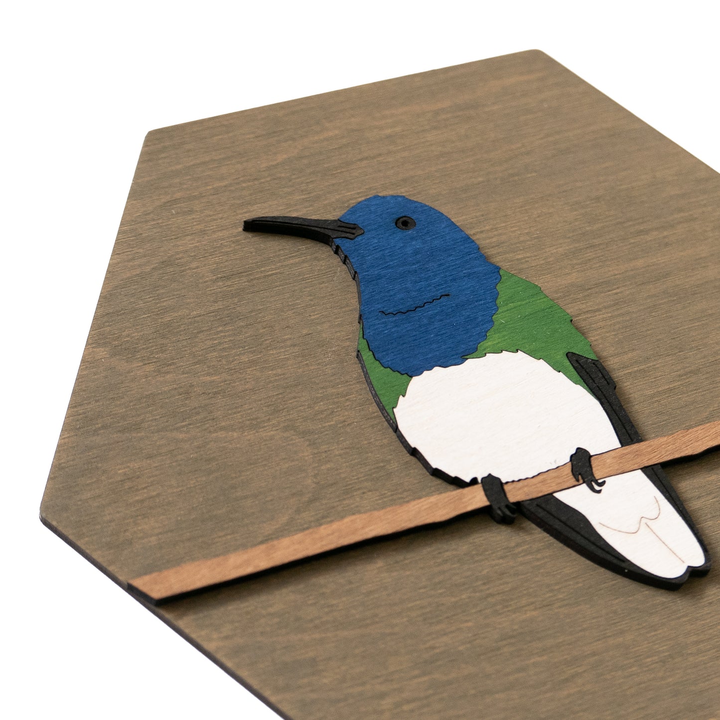 White-necked Jacobin Wall Art