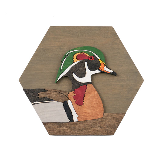 Wood Duck Wall Art