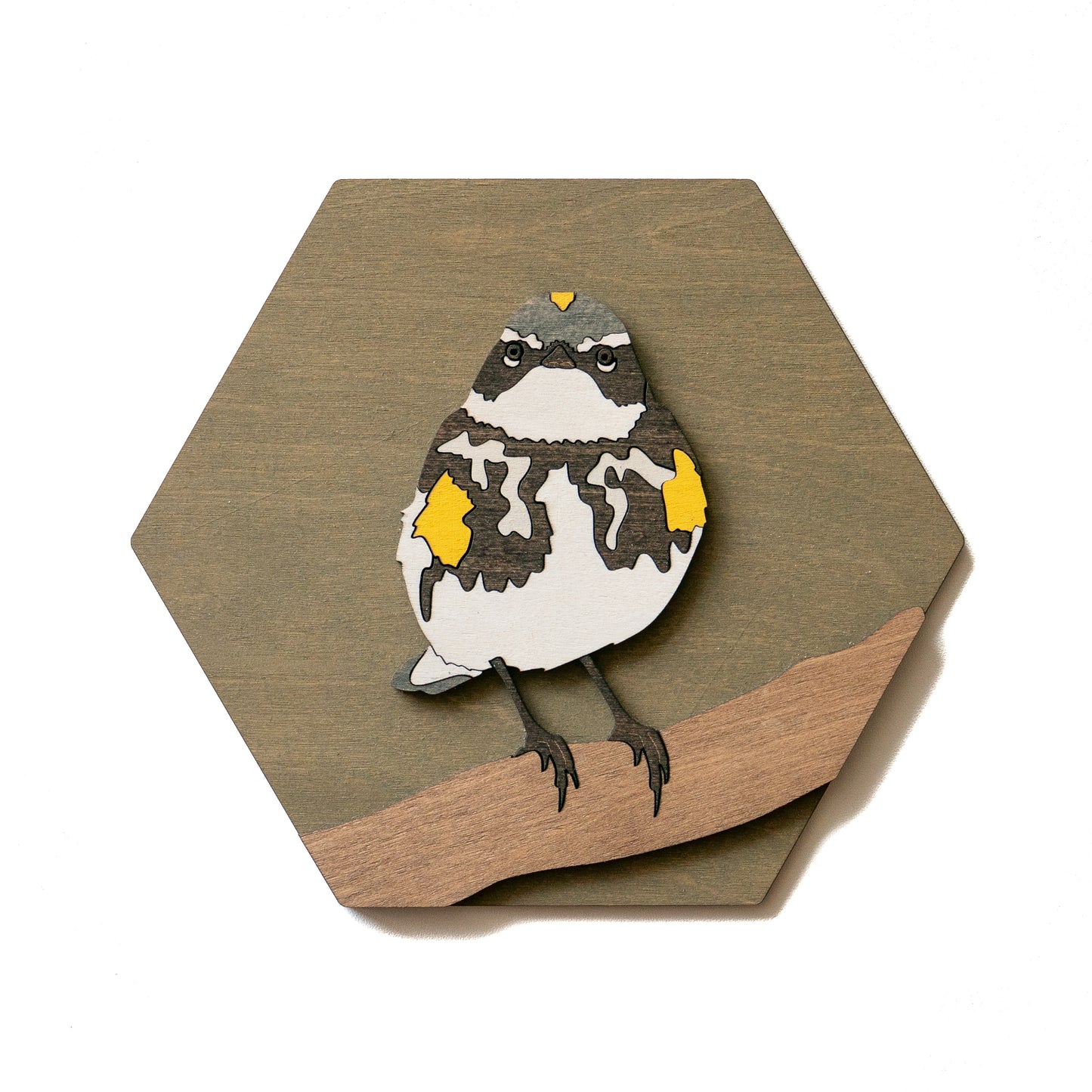 Yellow-rumped Warbler Wall Art